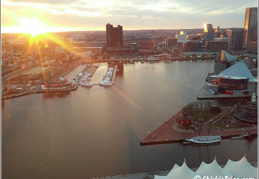 Marriot - Baltimore Inner Harbor - Aquarium 025