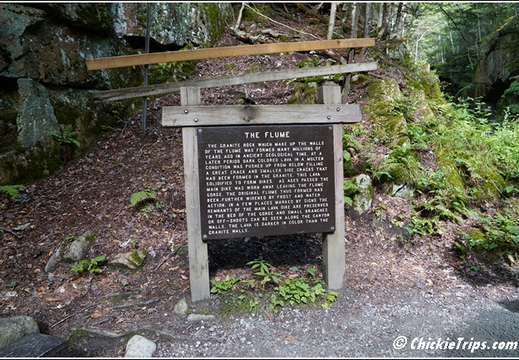 NH Franconia Notch State Park Flume Gorge - New Hampshire 00090