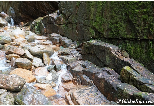 NH Franconia Notch State Park Flume Gorge - New Hampshire 00093