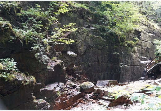 NH Franconia Notch State Park Flume Gorge - New Hampshire 00097