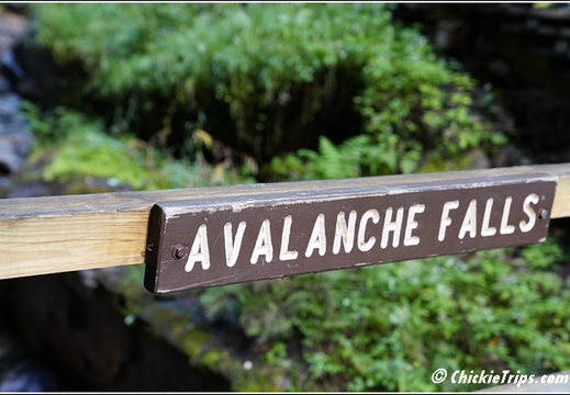 NH Franconia Notch State Park Flume Gorge - New Hampshire 00098