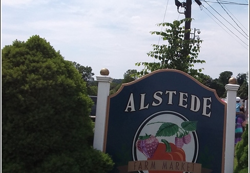 Alstede Farms - Strawberry Picking 004