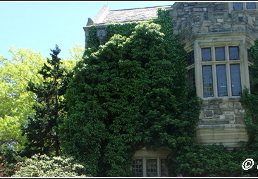 Botanical Garden 018