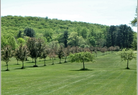 Botanical Garden 023