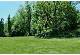 Botanical Garden 038