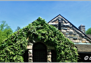 Botanical Garden 040