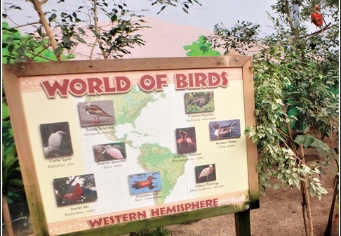 Cape May n Wildwood 002