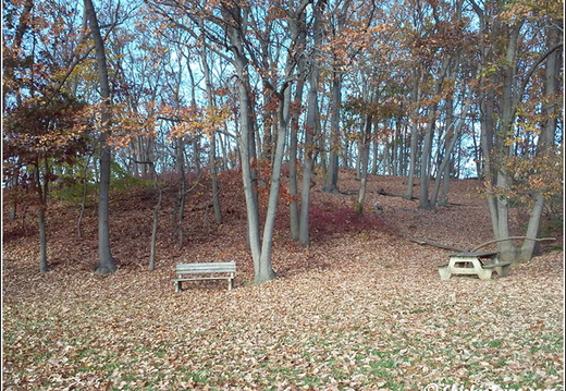 Cheesequake State Park 009
