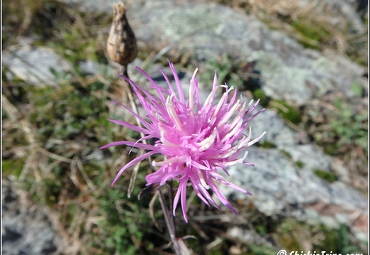 High Point State Park 010