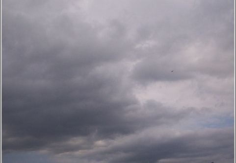 Lady Liberty 2004 016