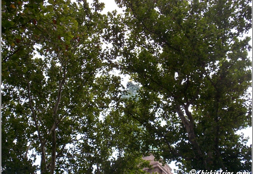 Lady Liberty 2004 023