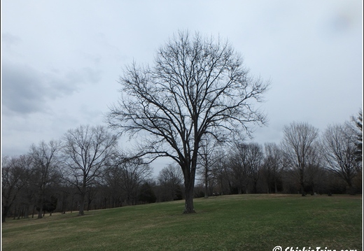 Monmouth Battle Field 002