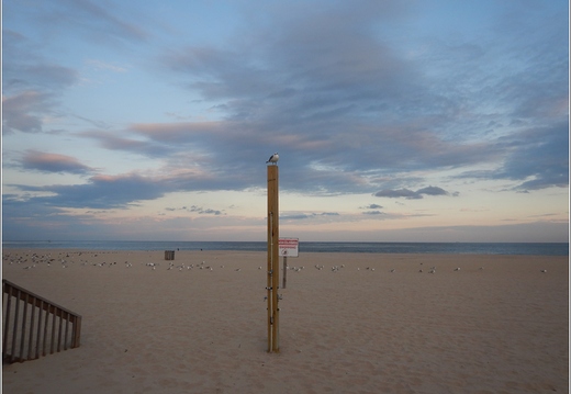NJ - Point Pleasant Beach 2021 001