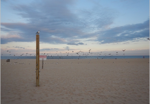 NJ - Point Pleasant Beach 2021 003