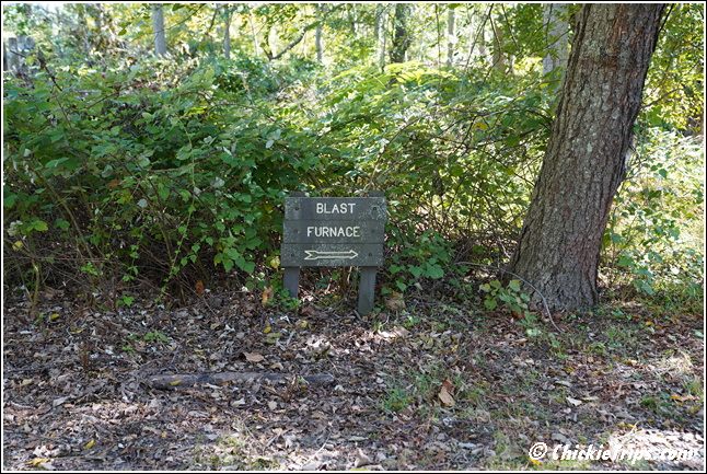 NJ_Allaire_State_Park_-_New_Jersey_00184.jpg