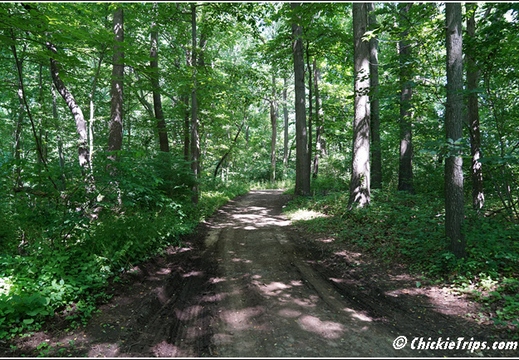 NJ Deep Cut Gardens 027