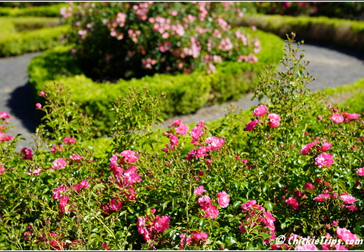 NJ Deep Cut Gardens 042