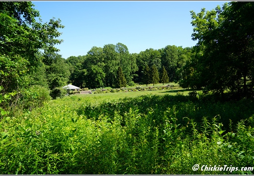 NJ Deep Cut Gardens 051