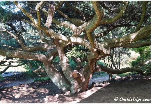 NJ Deep Cut Gardens 081