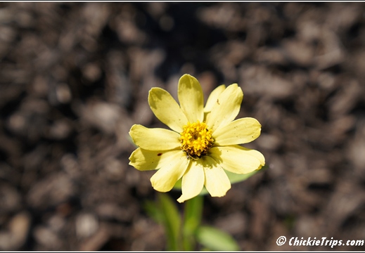 NJ Deep Cut Gardens 097