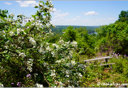 NJ Goat Hill Overlook 007