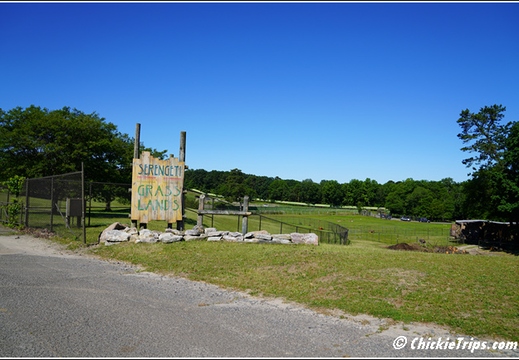 NJ Six Flags Safari 103