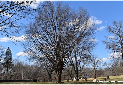 NJ Washington Crossing State Park 014