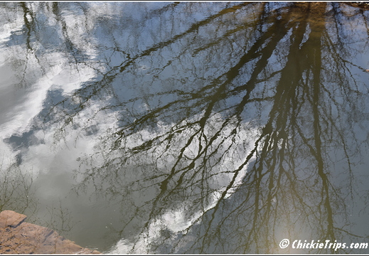 NJ Washington Crossing State Park 021