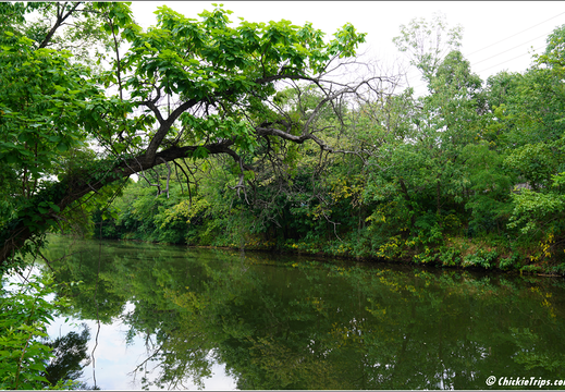 New Jersey - DandR Canal State Park 0014