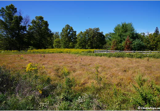 Duke Farms Park 0003