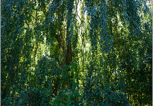 Duke Farms Park 0005