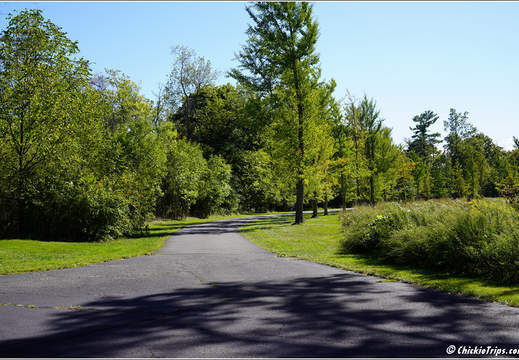 Duke Farms Park 0008