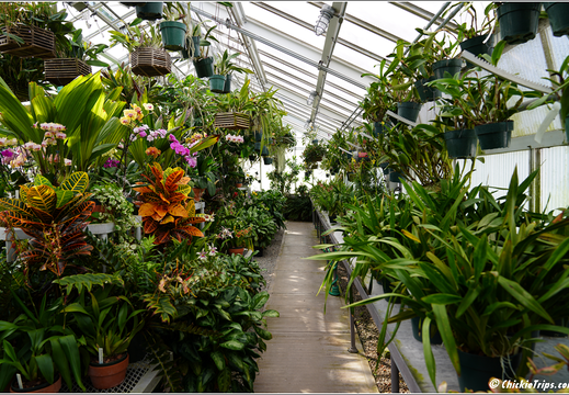 Duke Farms Park 0015