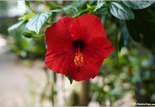 Duke Farms Park 0024