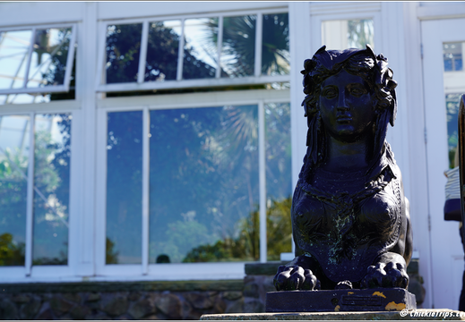 Duke Farms Park 0027