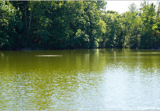 Duke Farms Park 0032