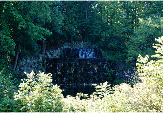 Duke Farms Park 0040