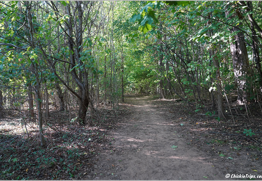 Duke Farms Park 0048