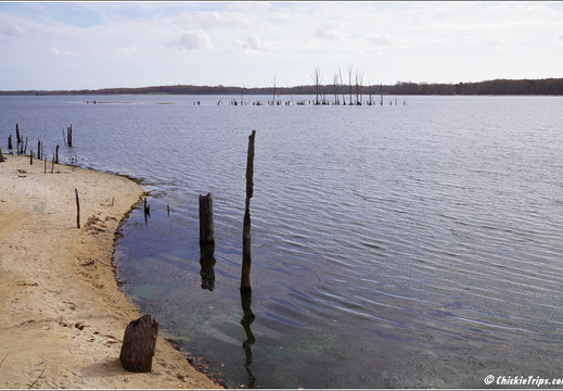 Manasquan Reservoir Park 0006