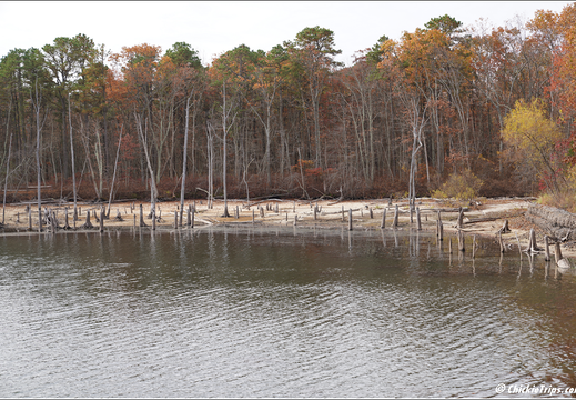 Manasquan Reservoir Park 0007