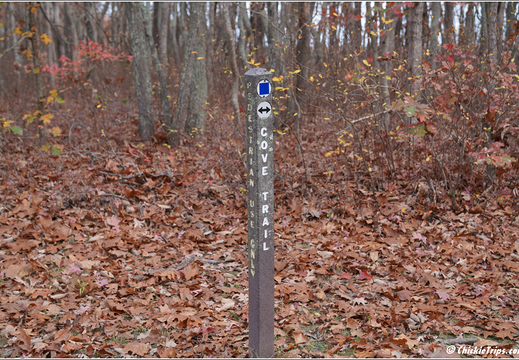 Manasquan Reservoir Park 0016