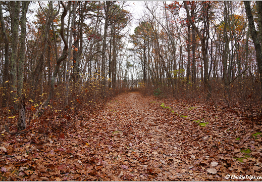 Manasquan Reservoir Park 0017