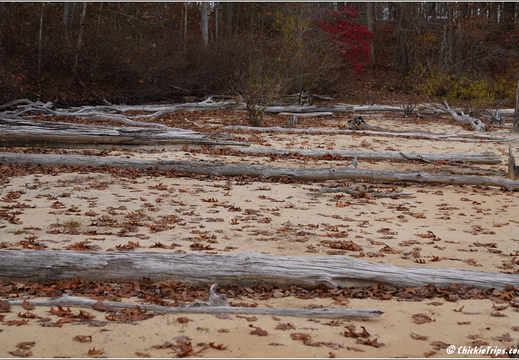 Manasquan Reservoir Park 0034