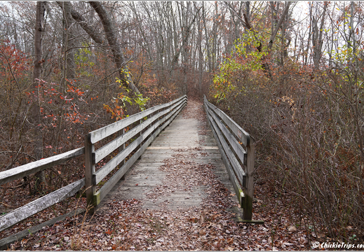 Manasquan Reservoir Park 0036