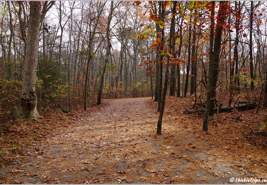 Manasquan Reservoir Park 0037