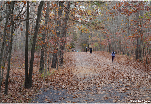 Manasquan Reservoir Park 0038