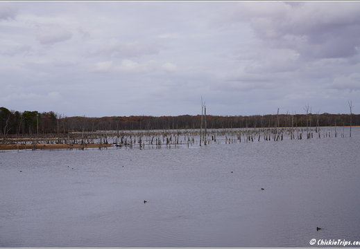 Manasquan Reservoir Park 0049
