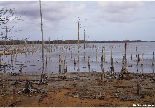 Manasquan Reservoir Park 0058