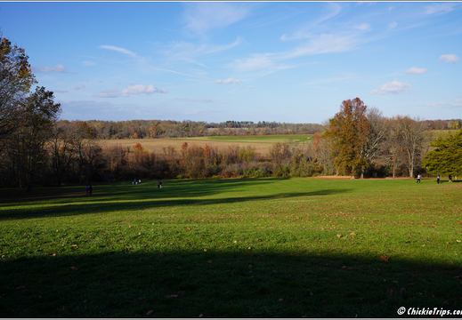 Monmouth Battlefield State Park 2022 0004