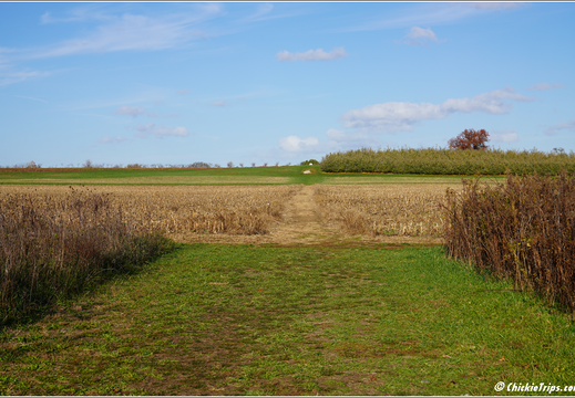 Monmouth Battlefield State Park 2022 0005